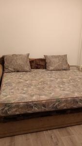 巴甫洛达尔3-х комнатная квартира в Павлодаре的床上有2个枕头