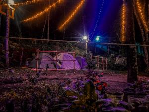 钦纳卡纳Spies Munnar Camping的一群夜晚带灯光的帐篷