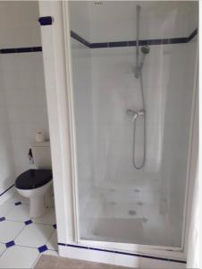 巴约讷Mendiska的带淋浴的浴室和卫生间
