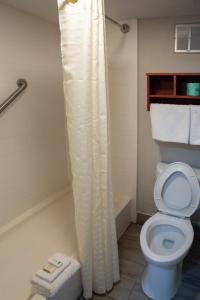 奥斯汀Baymont by Wyndham Austin University Area的浴室配有带浴帘的卫生间