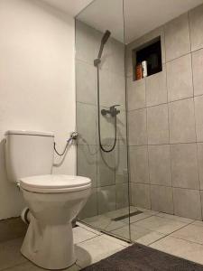 丰达塔RoiA Chalet Fundata 1的一间带卫生间和玻璃淋浴间的浴室