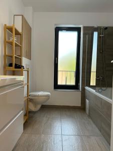 蒂米什瓦拉Lipatti 15 Apartments by GLAM LUXURY的一间带卫生间和窗户的浴室