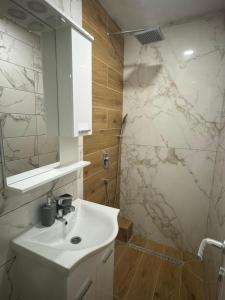 亚霍里纳Apartmani Andjela的白色的浴室设有水槽和淋浴。