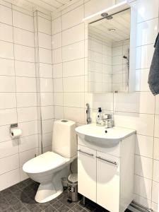 图尔库Turku Central Luxury Modern Cozy Flat 69m2的白色的浴室设有卫生间和水槽。