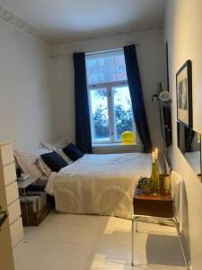 奥斯陆Lovely two bedroom flat in central Oslo的一间卧室设有一张床和一个窗口