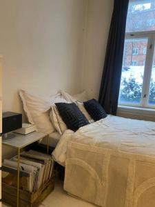 奥斯陆Lovely two bedroom flat in central Oslo的一间卧室设有一张床和一个窗口