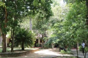 波隆纳鲁沃Polonnaruwa Holiday Inn的一座树木繁茂的公园和一座建筑