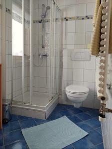 施科佩尔瑙Appartement Elisabeth的带淋浴和卫生间的浴室