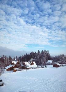 伊斯泰布纳Domek na Polance的一片积雪覆盖着房屋和树木的田野