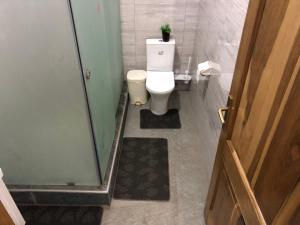 阿克拉Aseda Lodge Gh的浴室设有卫生间,上面种植了植物
