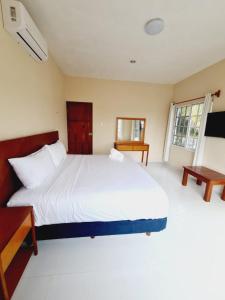 Dzilam de BravoCasa Azul Cielo的卧室配有一张白色大床和电视。