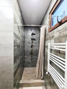 第比利斯Apart10 "Capture Old Tbilisi Spirit"的带淋浴的浴室和窗户。