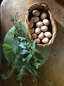 科尔多瓦Prana Eco hospedaje的桌上一篮子的鸡蛋,放上一束草药