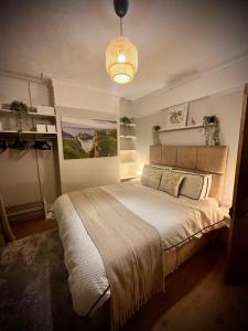 贝尔法斯特My Little Place in the City的一间卧室配有一张大床和一个吊灯。