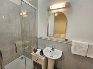 OldcastlePrivate House in Oldcastle的浴室配有盥洗盆和带镜子的淋浴