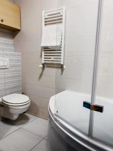 布达佩斯Highrise Horizon Penthouse的一间带卫生间和浴缸的浴室