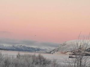 TanaAustertanakrystallen by Pure Lifestyle Arctic的鸟飞过一排水面,雪覆盖着群山