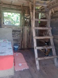 卡马萨里Cabana família coruja的小屋内带床和梯子的房间