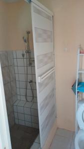 威廉斯塔德Dushi Curaçaose appartement的带淋浴的浴室和推拉门