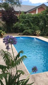 迈普Posada del vino的一座蓝色游泳池,在房子旁边种有紫色花