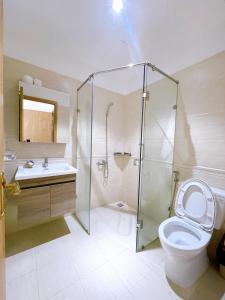 龙川市Lá Homestay Apartment的带淋浴、卫生间和盥洗盆的浴室