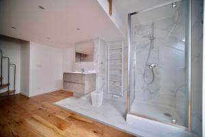 布鲁塞尔Smart Appart - Bossaerts的带淋浴和盥洗盆的大浴室