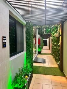达曼Amwaj Alshatie Furnished Units的建筑一侧的走廊上,有绿色植物