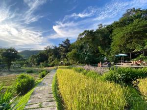湄宏颂湄宏顺弗恩度假酒店的一条穿过河边草地的走道