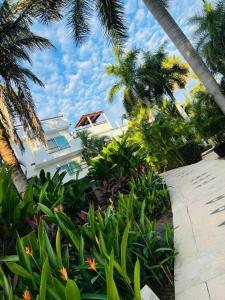 新巴利亚塔Villa Gardens, Beach Front (Santuarios de la bahia的棕榈树和植物的房屋