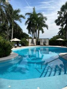 新巴利亚塔Villa Gardens, Beach Front (Santuarios de la bahia的一个种有棕榈树的大型蓝色游泳池