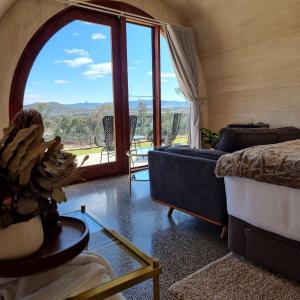 BallandeanBarrel View Luxury Cabins的带沙发和大窗户的客厅