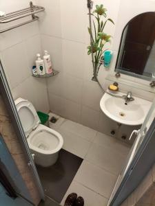 河内Roma Hotel Noi Bai airport的一间带卫生间和水槽的浴室