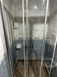 萨姆松Samsun Park Hotel的浴室里设有玻璃门淋浴