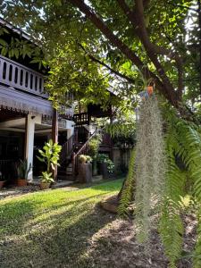 清迈SJ House的院子里有棕榈树的房子