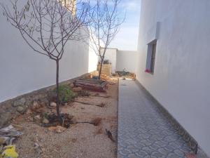 Villa Alhucemas的一座庭院,两棵树旁边是一座建筑