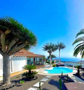 洛斯·亚诺斯·德·阿里丹Villa Tajuya的拥有游泳池、棕榈树和海洋的度假胜地