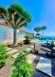 洛斯·亚诺斯·德·阿里丹Villa Tajuya的棕榈树花园和游泳池