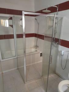BijiloBijilo Villa的带淋浴、浴缸和卫生间的浴室