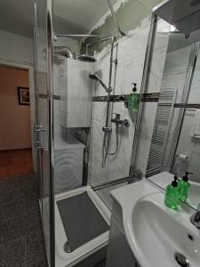 莱茵河畔威尔Ferienwohnung Grimmer的带淋浴、盥洗盆和淋浴的浴室