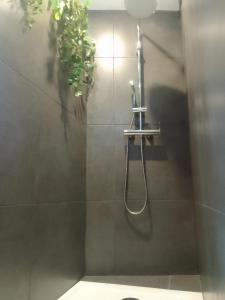 索塞莱潘La Locomotive的浴室内带软管的淋浴