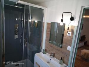 保拉扎克Les gites de Pétrocoriis的带淋浴、盥洗盆和镜子的浴室