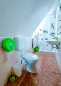 博加奇Bor-Villa vendégház的一间带卫生间和水槽的浴室