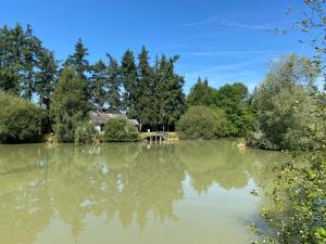 巴讷贡Cottage du Diot, son lac et son île的一座大湖,后面有一座房子