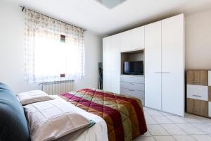 维佐拉提契诺Malpensa Express的一间卧室配有一张床和一台电视。