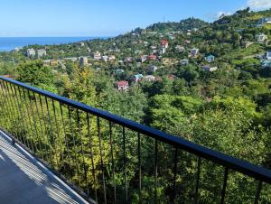 巴统B-XON Makhinjauri的从度假村的阳台上可欣赏到风景。
