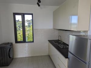 巴统B-XON Makhinjauri的厨房配有冰箱和窗户。
