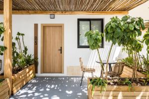 圣安东尼奥Aparthotel Casita Blanca - Adults Only的种植了植物的门廊和木门