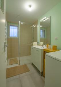 Mailly-le-CampLe gite de saint martin的带淋浴、盥洗盆和镜子的浴室