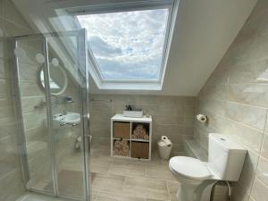 MurrooghInto The Burren的一间带卫生间和天窗的浴室