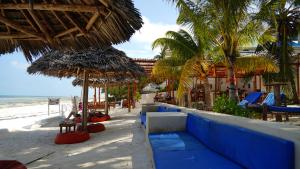 江比阿HA Beach Hotel Zanzibar的海滩上设有椅子和遮阳伞,还有大海